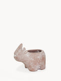 Terracotta Pot - Rhino